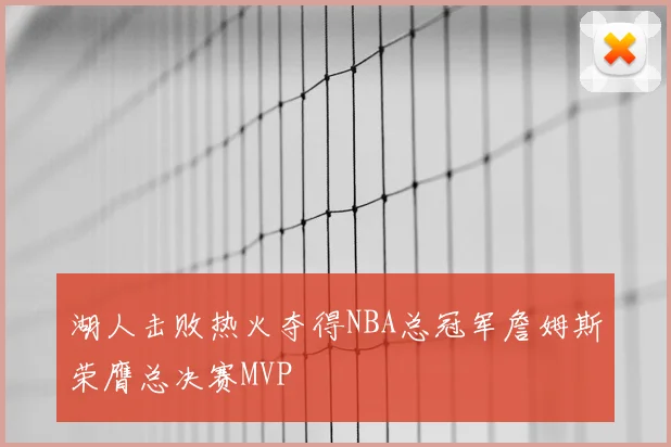 湖人击败热火夺得NBA总冠军詹姆斯荣膺总决赛MVP