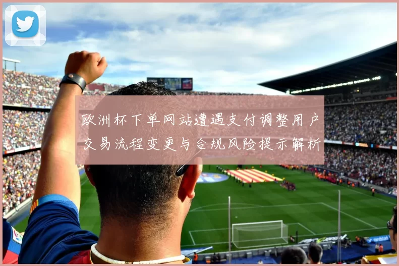 欧洲杯下单网站遭遇支付调整用户交易流程变更与合规风险提示解析