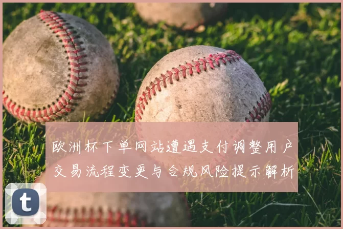 欧洲杯下单网站遭遇支付调整用户交易流程变更与合规风险提示解析