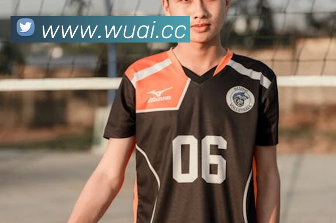 App Interface Preview